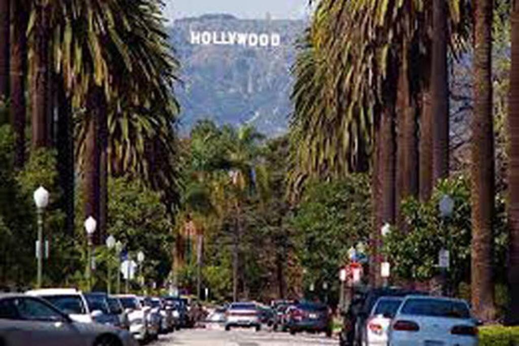 Apartment Hollywood Business